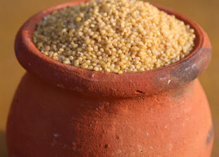 Foxtail Millet Rice