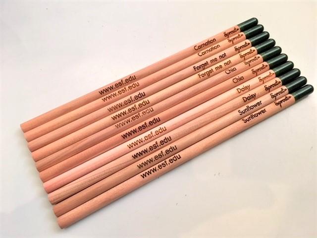 Pencils ISH-P0004